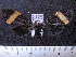 ( - MMZ1049)  @13 [ ] CreativeCommons - Attribution Non-Commercial (2012) Mauricio M. Zenker UFPR