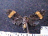  ( - MMZ1049)  @12 [ ] CreativeCommons - Attribution Non-Commercial (2012) Mauricio M. Zenker UFPR