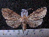  ( - MMZ1105)  @13 [ ] CreativeCommons - Attribution Non-Commercial (2012) Mauricio M. Zenker UFPR