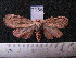  ( - MMZ1099)  @13 [ ] CreativeCommons - Attribution Non-Commercial (2012) Mauricio M. Zenker UFPR