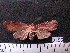  ( - MMZ1099)  @12 [ ] CreativeCommons - Attribution Non-Commercial (2012) Mauricio M. Zenker UFPR