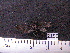  ( - MMZ1225)  @12 [ ] CreativeCommons - Attribution Non-Commercial (2012) Mauricio M. Zenker UFPR