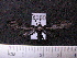  ( - MMZ1226)  @12 [ ] CreativeCommons - Attribution Non-Commercial (2012) Mauricio M. Zenker UFPR