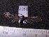 ( - MMZ1227)  @12 [ ] CreativeCommons - Attribution Non-Commercial (2012) Mauricio M. Zenker UFPR