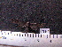  ( - MMZ1227)  @12 [ ] CreativeCommons - Attribution Non-Commercial (2012) Mauricio M. Zenker UFPR