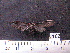  ( - MMZ1228)  @12 [ ] CreativeCommons - Attribution Non-Commercial (2012) Mauricio M. Zenker UFPR