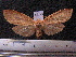  ( - MMZ1083)  @13 [ ] CreativeCommons - Attribution Non-Commercial (2012) Mauricio M. Zenker UFPR