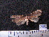  ( - MMZ1300)  @12 [ ] CreativeCommons - Attribution Non-Commercial (2012) Mauricio M. Zenker UFPR