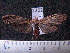  ( - MMZ1111)  @13 [ ] CreativeCommons - Attribution Non-Commercial (2012) Mauricio M. Zenker UFPR