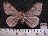  ( - MMZ1304)  @13 [ ] CreativeCommons - Attribution Non-Commercial (2012) Mauricio M. Zenker UFPR