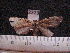  ( - MMZ1306)  @13 [ ] CreativeCommons - Attribution Non-Commercial (2012) Mauricio M. Zenker UFPR
