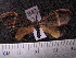  ( - MMZ0674)  @13 [ ] CreativeCommons - Attribution Non-Commercial (2011) Mauricio M. Zenker Universidade Federal do Parana
