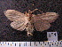  ( - MMZ0871)  @12 [ ] CreativeCommons - Attribution Non-Commercial (2011) Mauricio M. Zenker UFPR