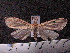  ( - MMZ0957)  @13 [ ] CreativeCommons - Attribution Non-Commercial (2011) Mauricio M. Zenker UFPR