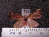  ( - MMZ0958)  @13 [ ] CreativeCommons - Attribution Non-Commercial (2011) Mauricio M. Zenker UFPR