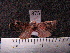  ( - MMZ0914)  @12 [ ] CreativeCommons - Attribution Non-Commercial (2011) Mauricio M. Zenker UFPR