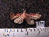  ( - MMZ0914)  @12 [ ] CreativeCommons - Attribution Non-Commercial (2011) Mauricio M. Zenker UFPR