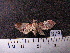  ( - MMZ0961)  @12 [ ] CreativeCommons - Attribution Non-Commercial (2011) Mauricio M. Zenker UFPR