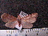  ( - MMZ0972)  @13 [ ] CreativeCommons - Attribution Non-Commercial (2011) Mauricio M. Zenker UFPR