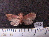  ( - MMZ0972)  @12 [ ] CreativeCommons - Attribution Non-Commercial (2011) Mauricio M. Zenker UFPR