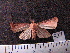  ( - MMZ0974)  @12 [ ] CreativeCommons - Attribution Non-Commercial (2011) Mauricio M. Zenker UFPR