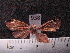  ( - MMZ0979)  @12 [ ] CreativeCommons - Attribution Non-Commercial (2011) Mauricio M. Zenker UFPR