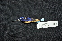  ( - LGR-106.2)  @11 [ ] CreativeCommons  Attribution Non-Commercial Share-Alike (2041) Hidayat Hashari Indonesian Institute of Sciences, Museum Zoologicum Bogoriense
