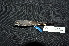  ( - LGR-046.2)  @11 [ ] CreativeCommons  Attribution Non-Commercial Share-Alike (2111) Hidayat Hashari Indonesian Institute of Sciences, Museum Zoologicum Bogoriense