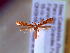  ( - IO-849)  @11 [ ] CreativeCommons - Attribution Non-Commercial (2018) Issei Ohshima Kyoto Prefectural University