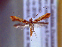  ( - IO-862)  @11 [ ] CreativeCommons - Attribution Non-Commercial (2018) Issei Ohshima Kyoto Prefectural University