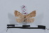  ( - LN-BD0035)  @11 [ ] Copyright (2011) Rodolphe Rougerie University of Rouen