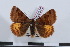  ( - LN-BD0046)  @11 [ ] Copyright (2011) Rodolphe Rougerie University of Rouen