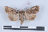  ( - LN-BD0081)  @14 [ ] Copyright (2011) Rodolphe Rougerie University of Rouen