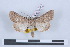  ( - LN-BD0082)  @12 [ ] Copyright (2011) Rodolphe Rougerie University of Rouen