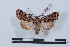  ( - LN-BD0131)  @14 [ ] Copyright (2011) Rodolphe Rougerie University of Rouen