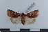  ( - LN-BD0209)  @13 [ ] Copyright (2011) Rodolphe Rougerie University of Rouen