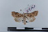  ( - LN-BD0220)  @12 [ ] Copyright (2011) Rodolphe Rougerie University of Rouen