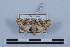 ( - LN-BD0227)  @14 [ ] Copyright (2011) Rodolphe Rougerie University of Rouen