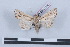  ( - LN-BD0300)  @13 [ ] Copyright (2011) Rodolphe Rougerie University of Rouen