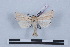  ( - LN-BD0312)  @11 [ ] Copyright (2011) Rodolphe Rougerie University of Rouen