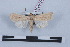  ( - LN-BD0313)  @11 [ ] Copyright (2011) Rodolphe Rougerie University of Rouen