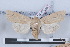  ( - LN-BD0569)  @13 [ ] Copyright (2011) Rodolphe Rougerie University of Rouen
