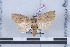  ( - LN-BD0576)  @12 [ ] Copyright (2011) Rodolphe Rougerie University of Rouen