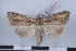  ( - LN-BD0587)  @13 [ ] Copyright (2011) Rodolphe Rougerie University of Rouen