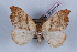  ( - LN-BD0764)  @13 [ ] Copyright (2011) Rodolphe Rougerie University of Rouen