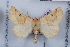  ( - LN-BD1092)  @13 [ ] Copyright (2011) Rodolphe Rougerie University of Rouen