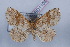  ( - LN-BD1104)  @13 [ ] Copyright (2011) Rodolphe Rougerie University of Rouen