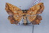  ( - LN-BD1115)  @14 [ ] Copyright (2011) Rodolphe Rougerie University of Rouen