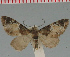  ( - MNVD-00213-B12)  @12 [ ] Copyright (2010) Unspecified Research Collection of Timm Karisch