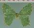  ( - MNVD-00213-D05)  @13 [ ] Copyright (2010) Unspecified Research Collection of Timm Karisch